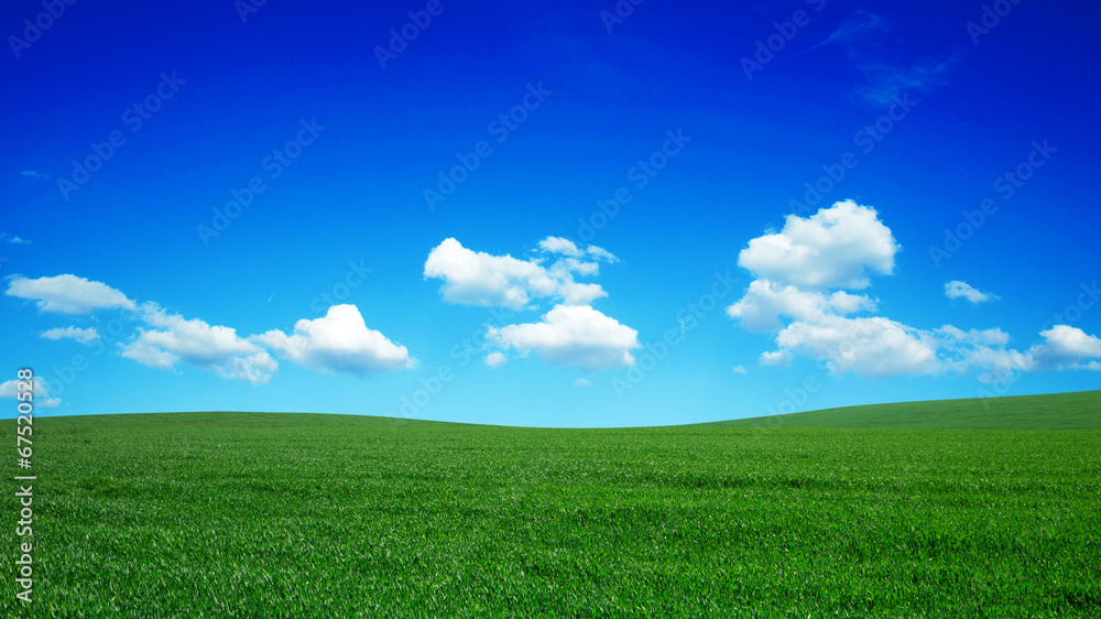 field field