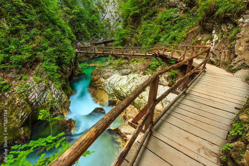 Fototapeta premium Drewniany most i zielona rzeka, wąwóz Vintgar, Słowenia, Europa