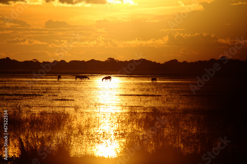 Sunset in Los Llanos