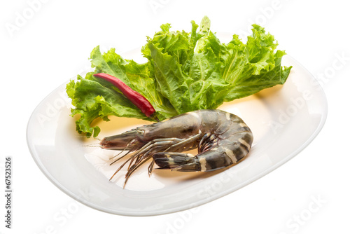 Tiger prawn