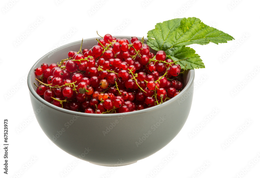 Red currant Red currant