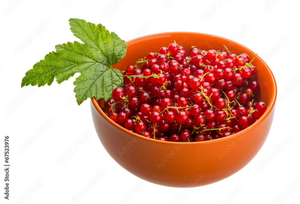 Red currant Red currant