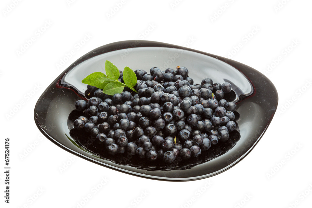 Blueberry Blueberry