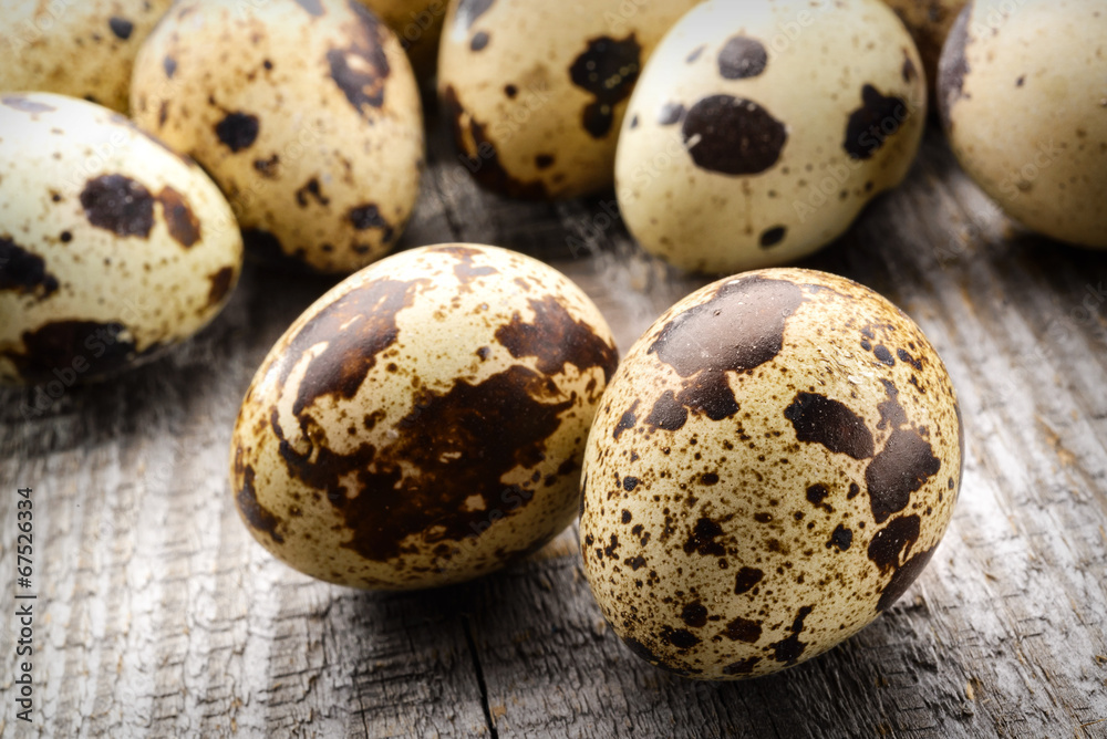 quail eggs on a fabric background