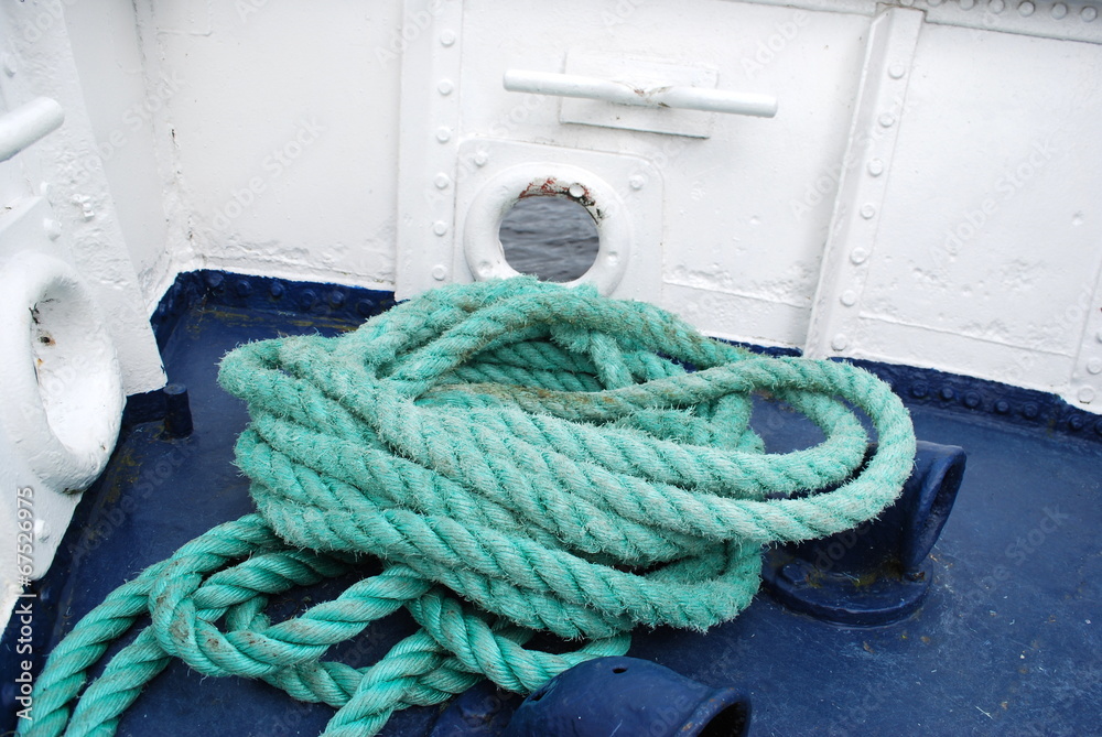 taue StockFoto Adobe Stock