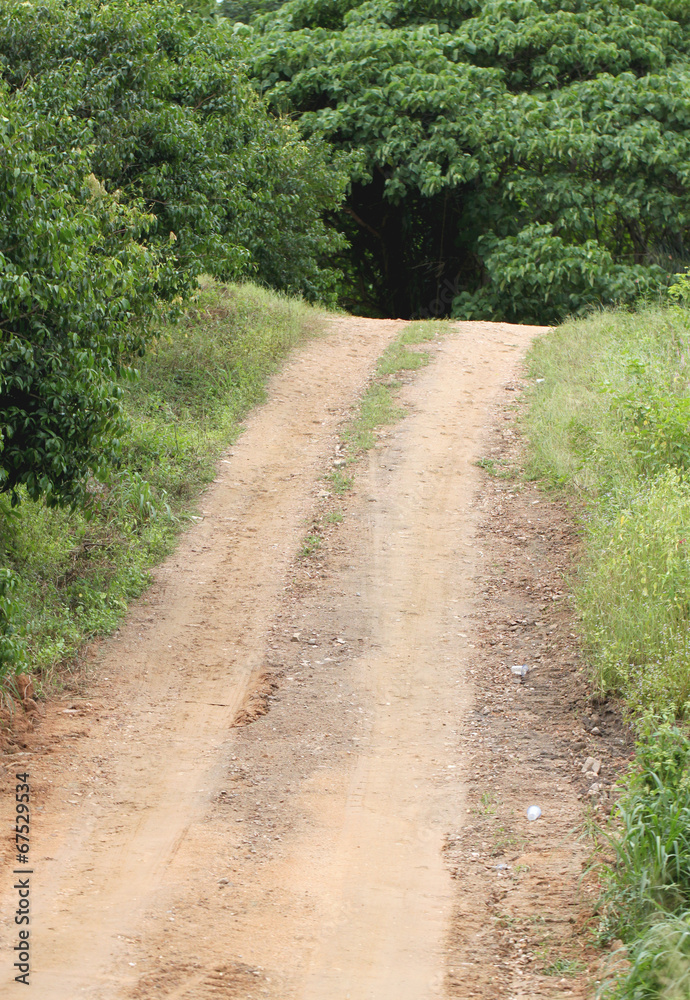 Road for a trip to the forest. Road for a trip to the forest.