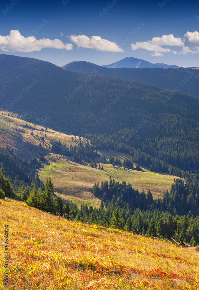 Beautiful autumn landscape in the Carpathian mountains.