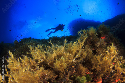 Scuba Diving Mediterranean Sea
