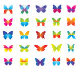 Set of beautiful colorful butterflies for decoration.