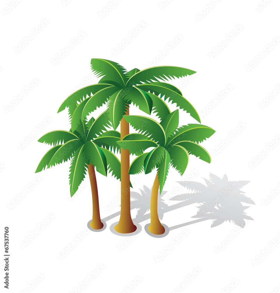 Obraz premium Tropical palms
