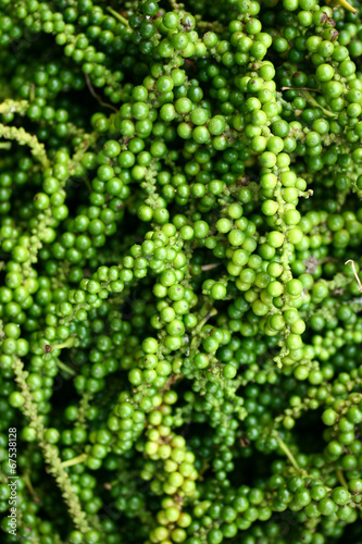 Green Peppercorns (Piper nigrum)