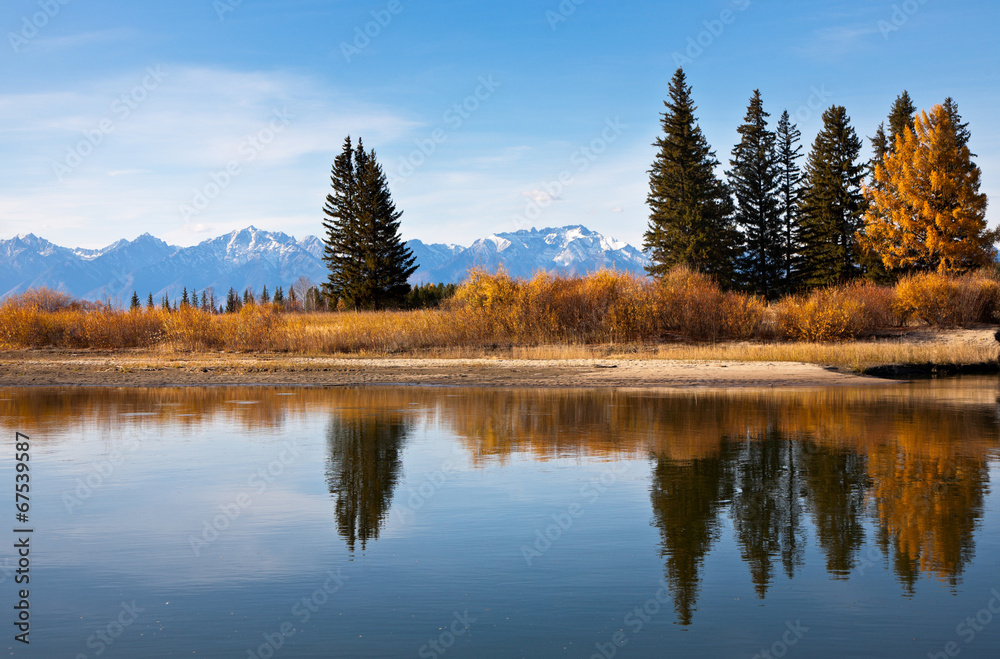 Autumn landscape. Yellow trees are reflected in the calm river