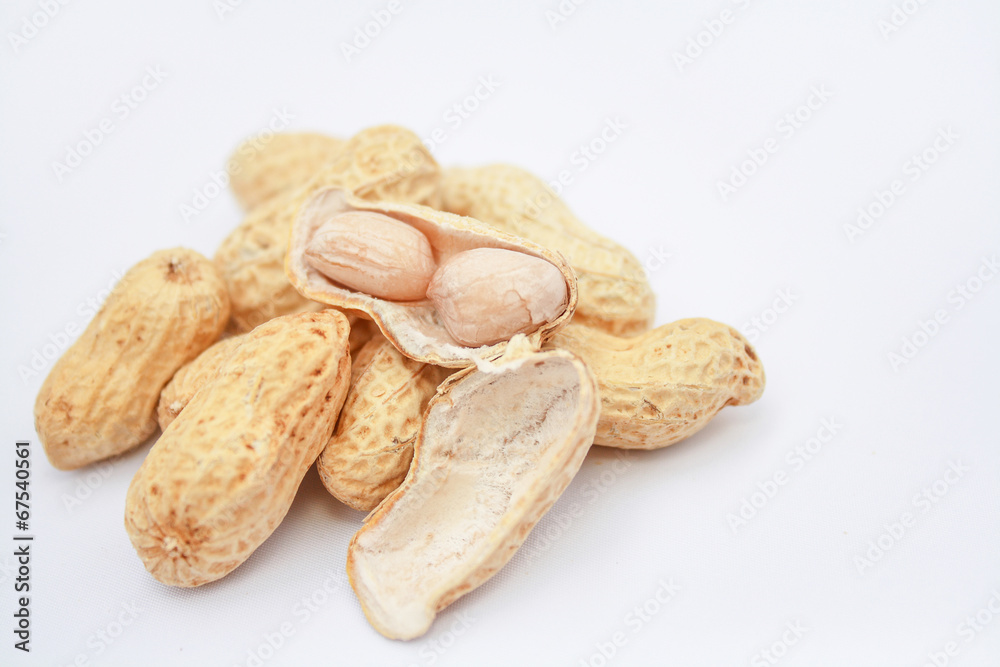 peanut and shell on white background peanut and shell on white background