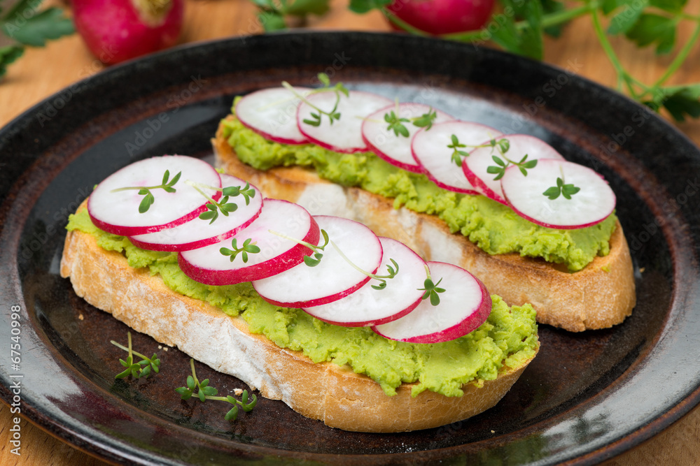 toasted ciabatta with pate of avocado and fresh radish on plate