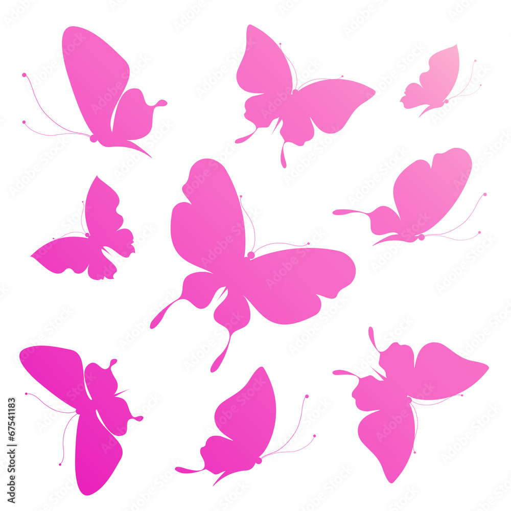butterflies design butterflies design