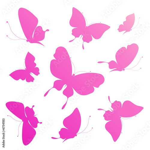 butterflies design