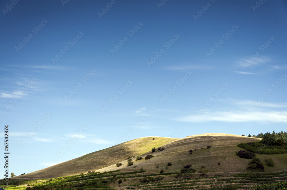 Fototapeta premium Berg am Kaiserstuhl