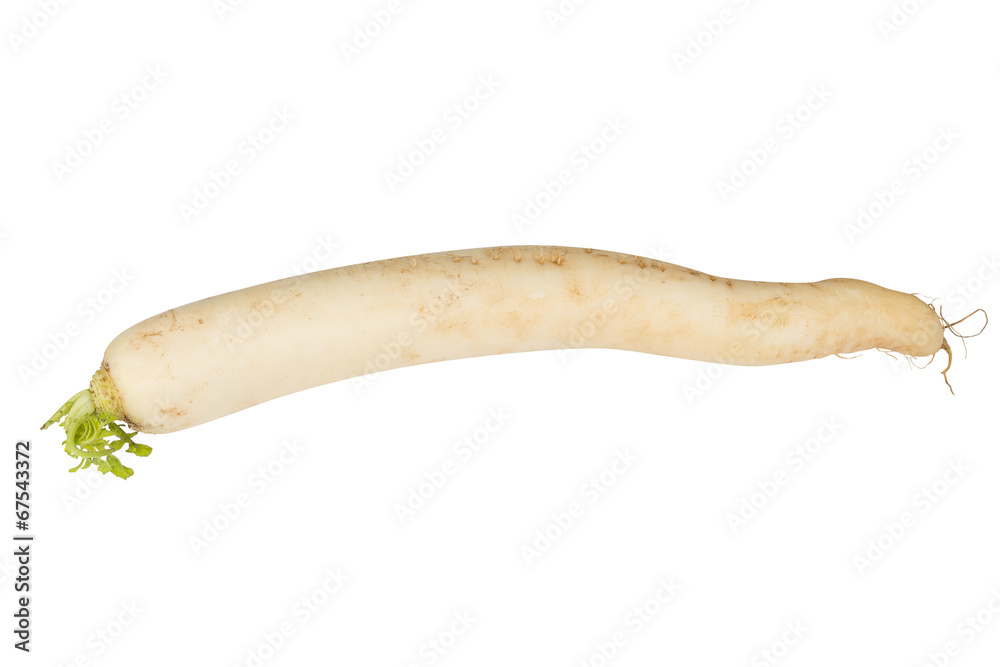 Daikon radish on white background Daikon radish on white background