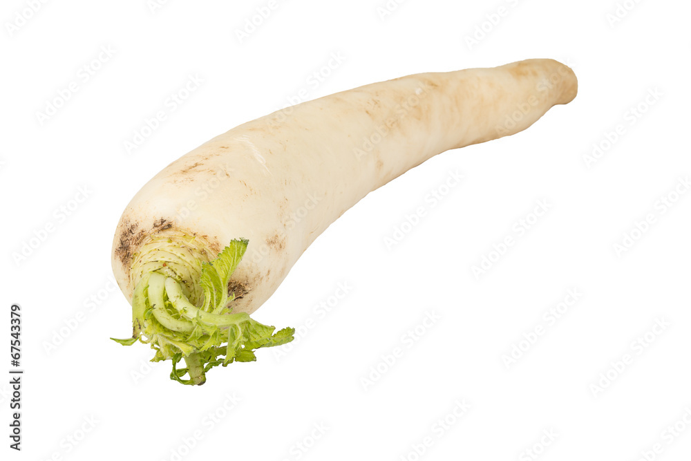 Daikon radish on white background Daikon radish on white background