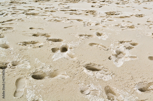 footprints in the sand