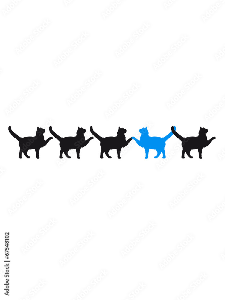 5 marschierende stolzierende Katzen Be Different