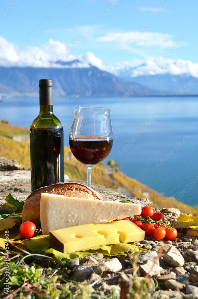 Wine and chese. Lavaux region, Switzerland