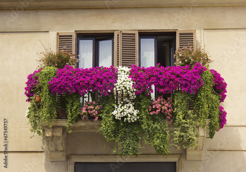 balcony decorated with flowers petunias