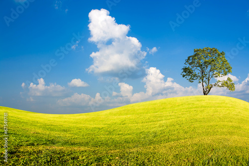landscape background