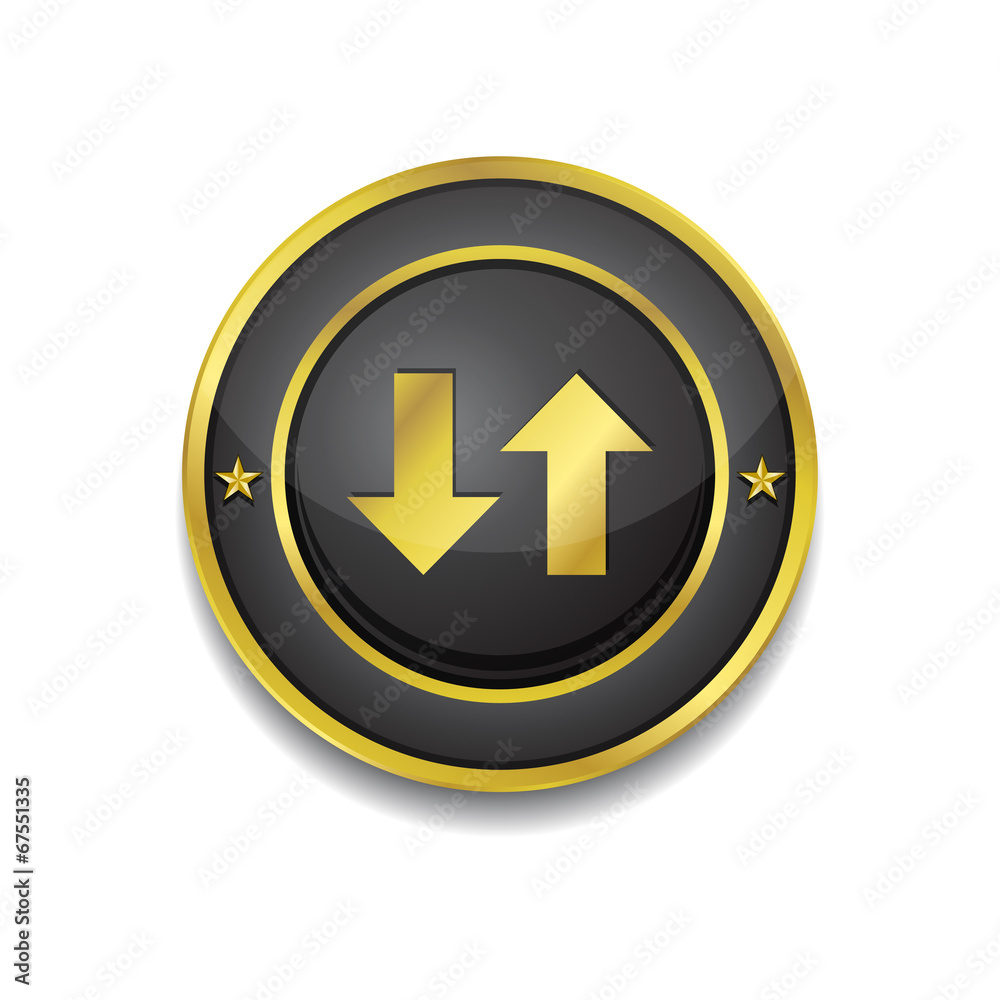 Data Circular Vector Golden Black Web Icon Button Data Circular Vector Golden Black Web Icon Button