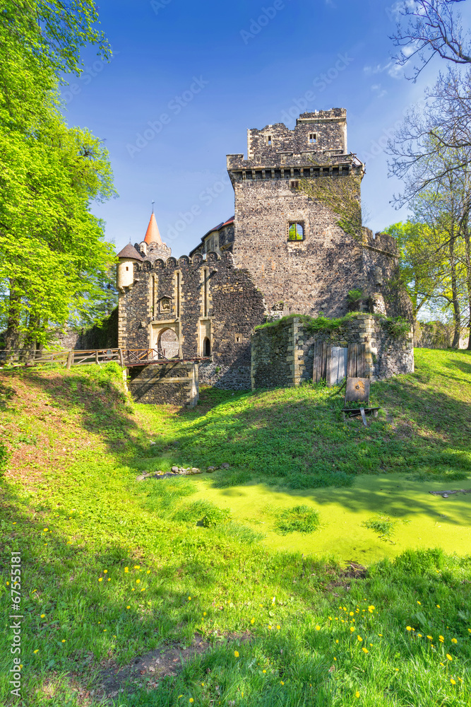 Castle Grodziec