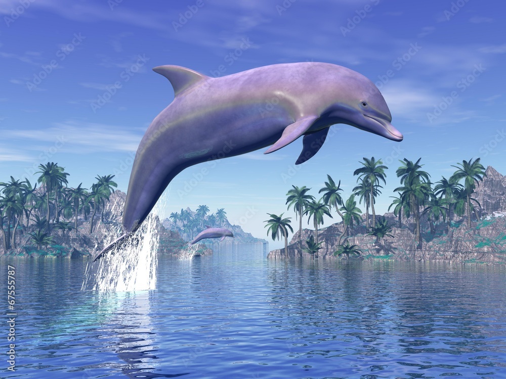 Naklejka premium Dolphin in the tropics - 3D rneder