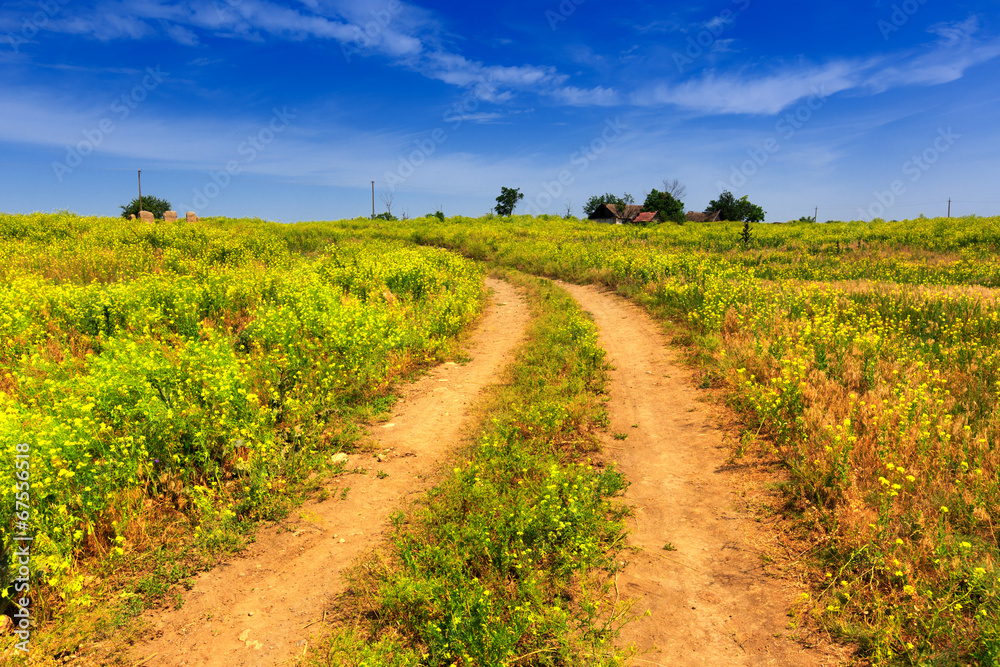 Obraz premium rural road