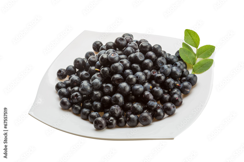 Blueberry Blueberry