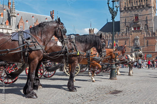 Bruges - Carriage on the Grote Markt and Belfort van Brugge