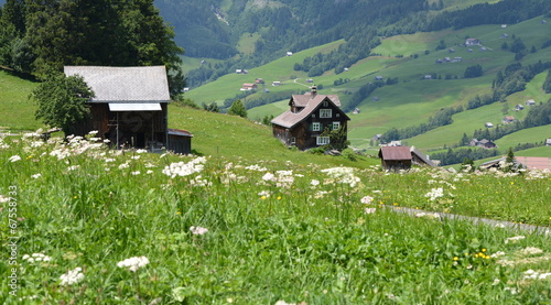 région d'amden...suisse photo