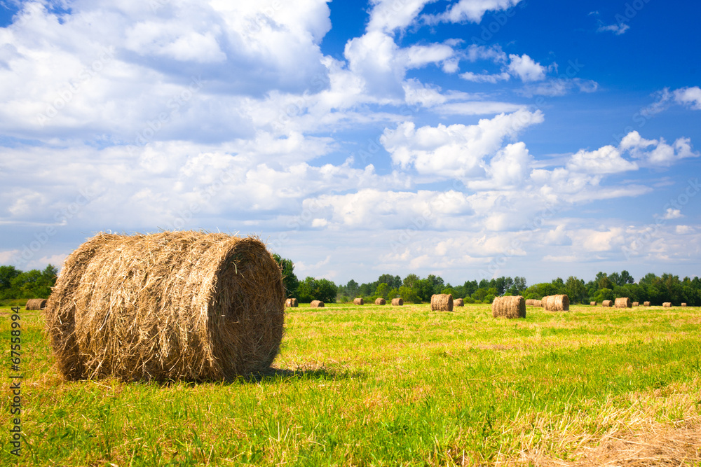 landscape with harvested bales