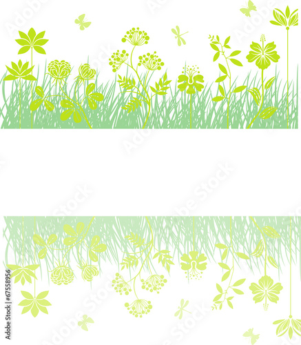 Meadow with reflection