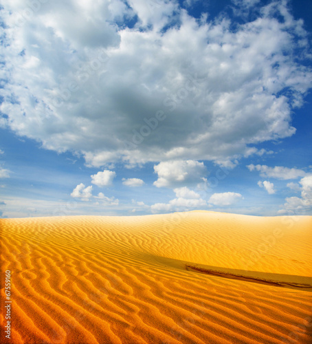 Beautiful sand dunes in the Sahara desert  Tunisia