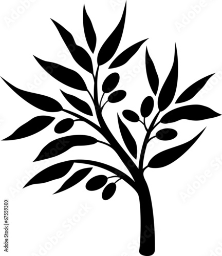 Olive tree silhouette