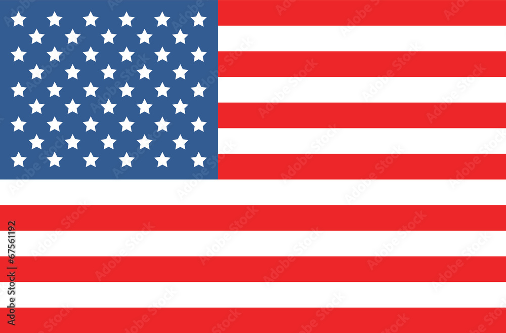 Obraz premium vector american flag