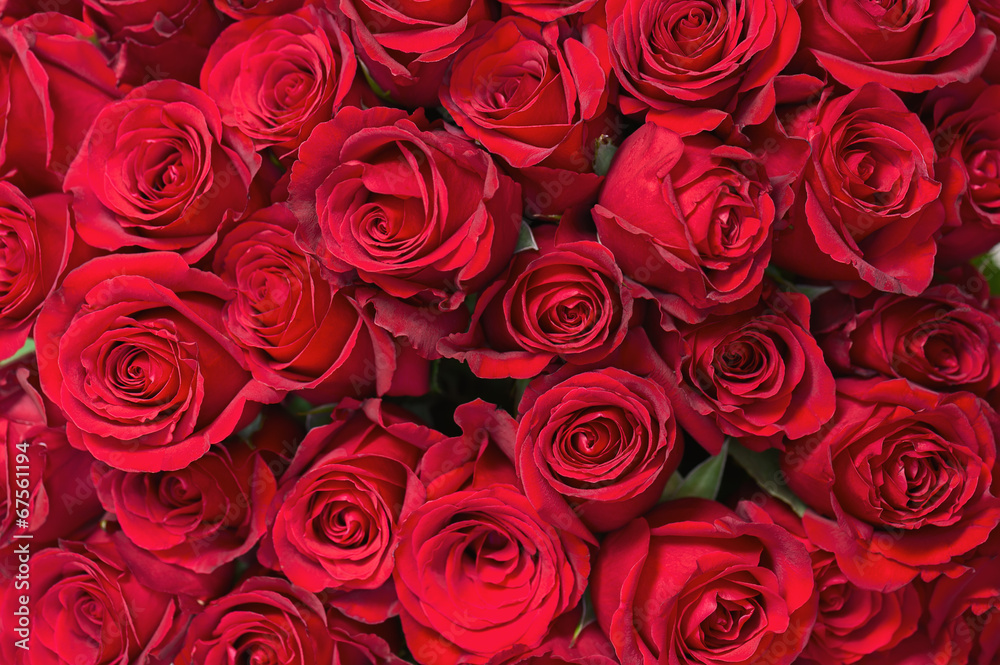 Obraz premium Kolorowy kwiatu bukiet od czerwonych róż dla use jako tło.