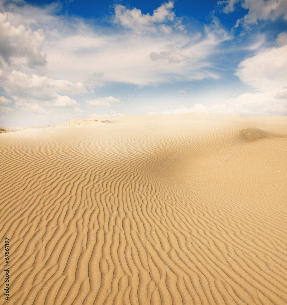 Beautiful sand dunes in the Sahara desert, Tunisia - obrazy, fototapety, plakaty 
