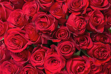 Poster Rozen Boeket rode rozen feestelijk  © GLandStudio