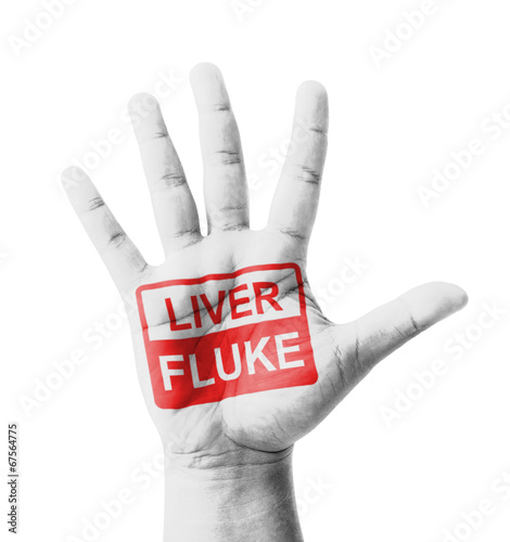 Open hand raised, Liver Fluke sign painted