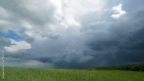 Time-lapse dramatic sky and wheat field.