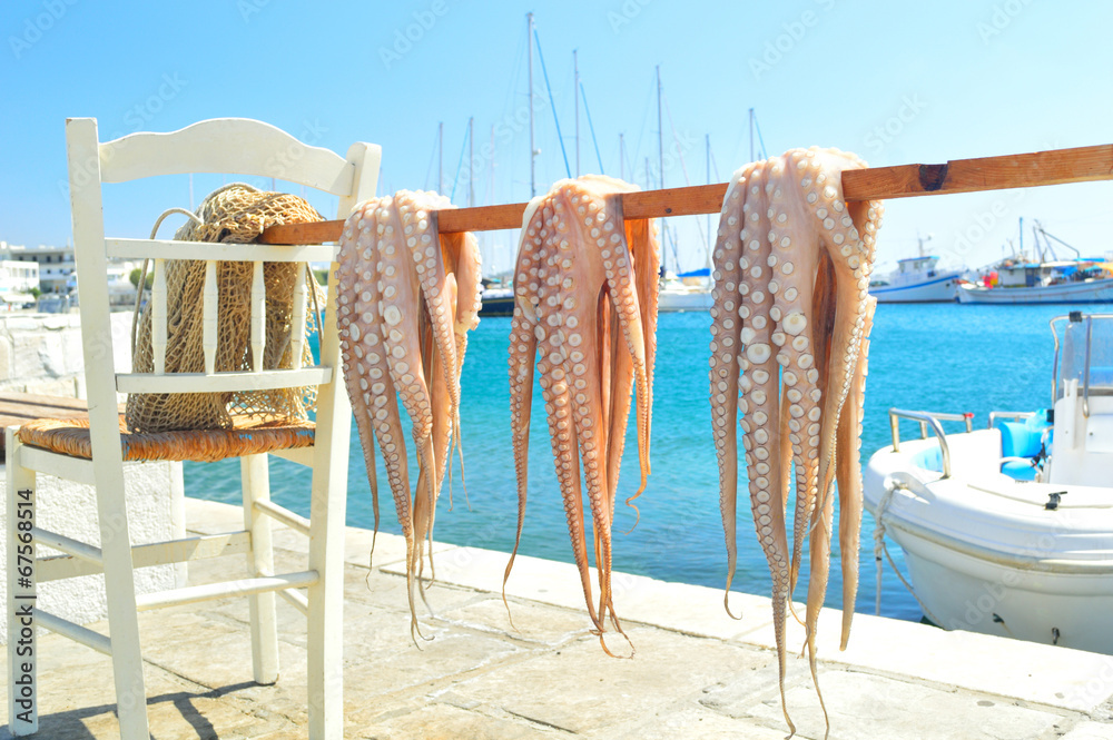 Octopus drying in the sun, Naxos island, Cyclades, Greece - obrazy, fototapety, plakaty 