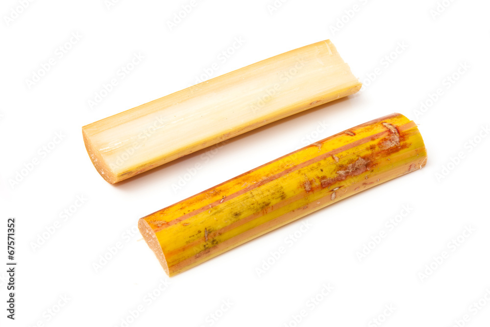 Sugarcane isolated on a white studio background. Sugarcane isolated on a white studio background.