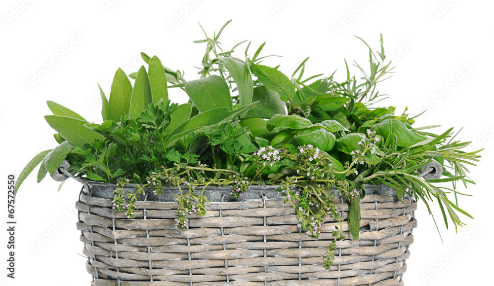 Naklejka premium basket with herbs