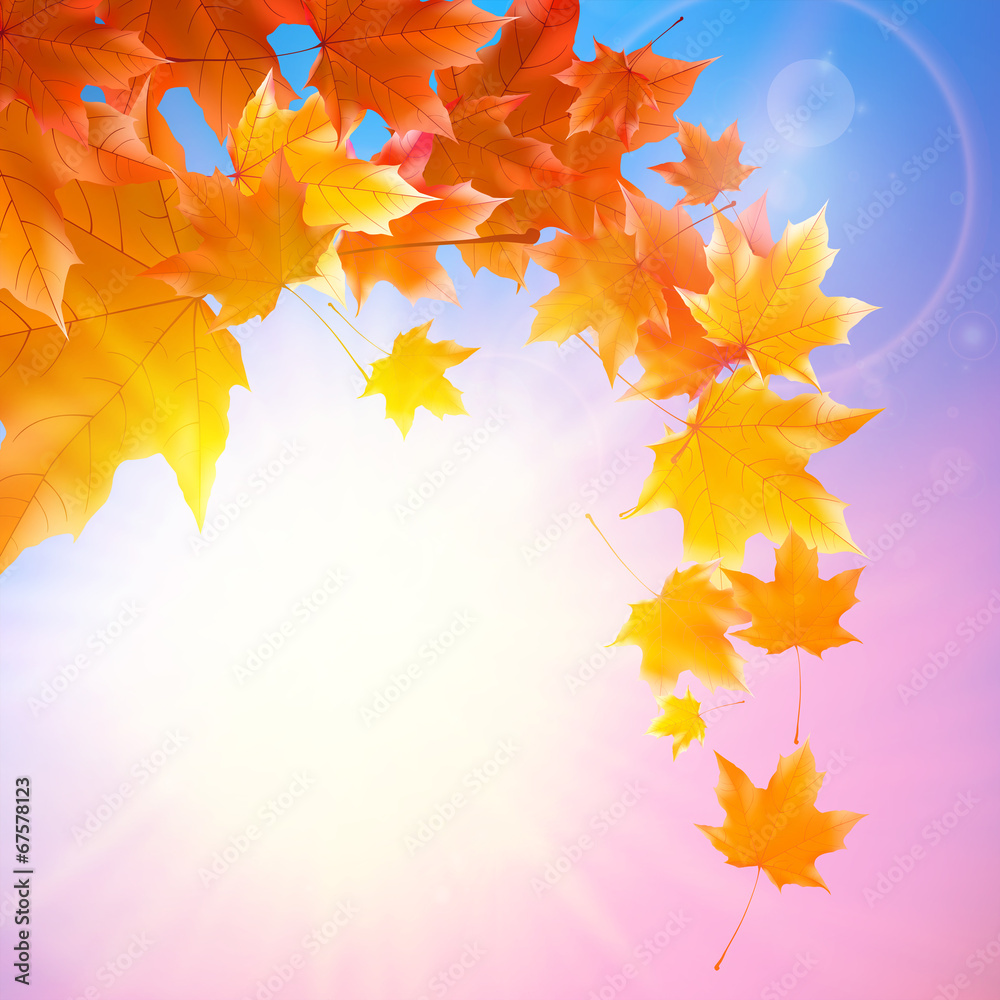 Delicate autumn sun with glare on blue sky. Delicate autumn sun with glare on blue sky.