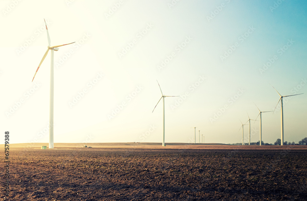 field with wind power